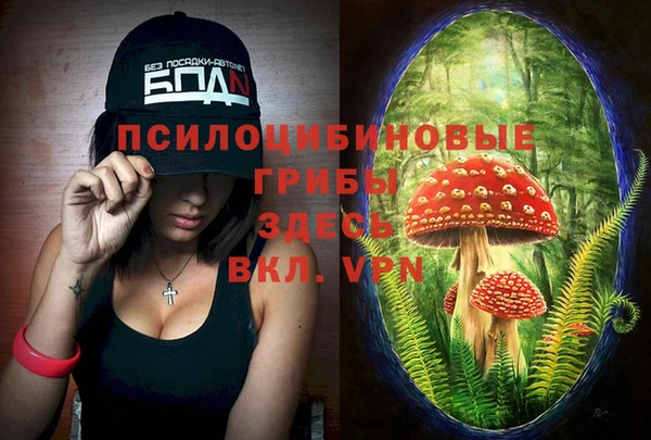 герыч Мегион