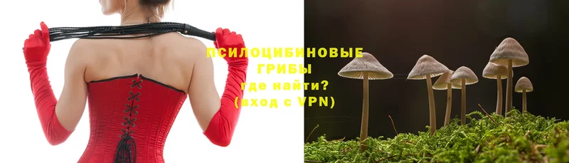 блэк спрут онион  Гдов  Галлюциногенные грибы MAGIC MUSHROOMS 