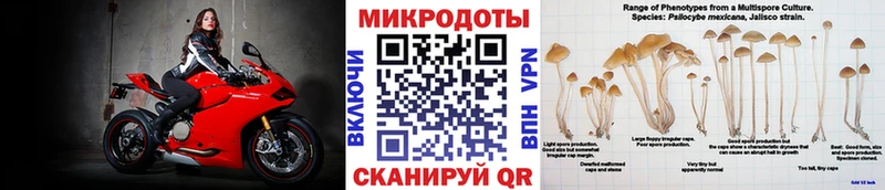 Псилоцибиновые грибы мухоморы  Гдов 